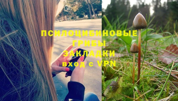 стаф Армянск